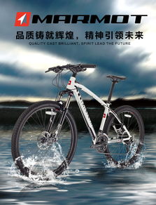 MARMOT土撥鼠單車 自行車文化是自行車產(chǎn)業(yè)發(fā)展強(qiáng)大動力