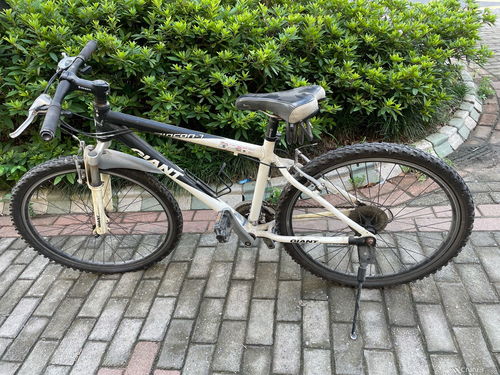 出兩輛捿安特自行車(chē)